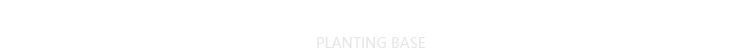 壽光水果黃瓜