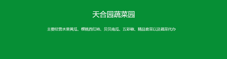 壽光水果黃瓜