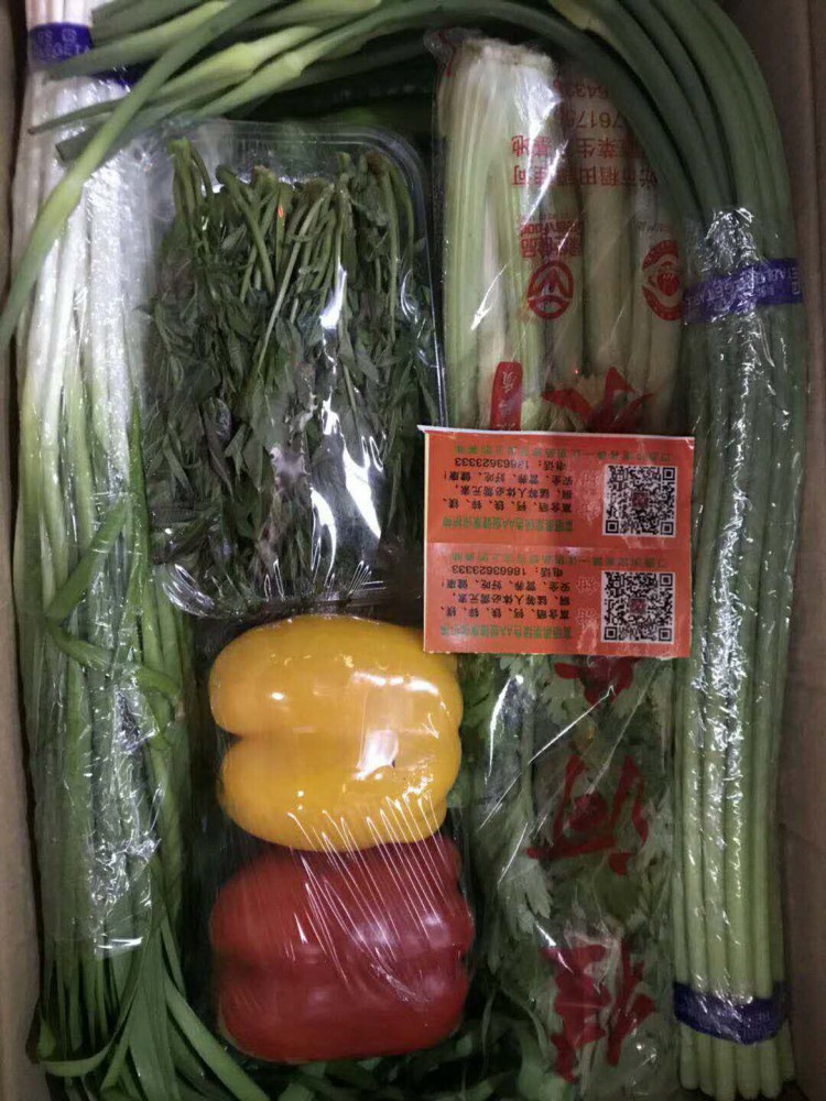 壽光套菜